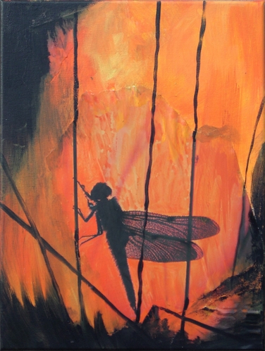 bild: Nr.285<br>Libelle im Sonnenuntergang