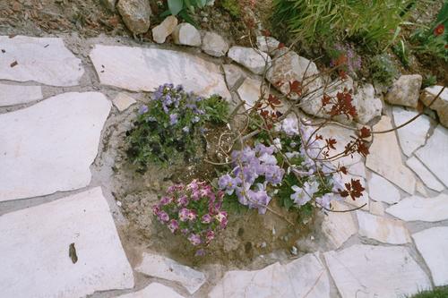 bild: Garten, linke Seite